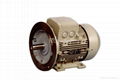 1LG0 Series Siemens Motor