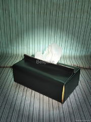 Tissue Case