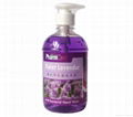 PharmCare Anti-bacterial Hand Wash 500ml 1