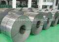 Electrical Steel  1