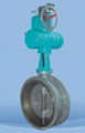 High Performance Eccentric Butterfly Valve