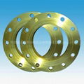 Titanium Flanges