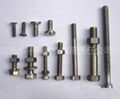 Titanium screws 1