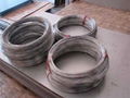  Titanium Wires 4