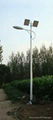 Solar Street Light/Outdoor Light 1