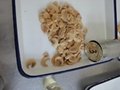 Canned Mushroom 3