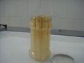 Canned White Asparagus 2