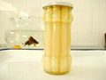 Canned White Asparagus