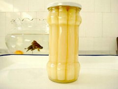 Canned White Asparagus