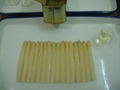 Canned White Asparagus 1