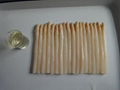 Canned White Asparagus 1