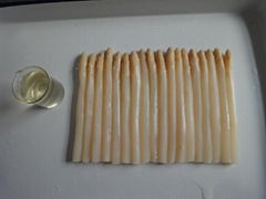 Canned White Asparagus