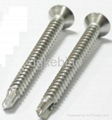 drilling screw 1