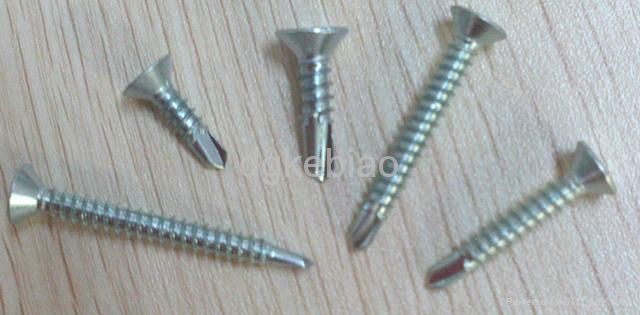 drilling screw 2