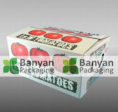 Fruit carton