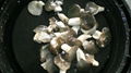 salted black oyster mushroom 1