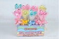 Beautiful-Bouquet Chocolate in Plastic box(27g)  1