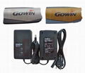 Gowin Battery BT-L1