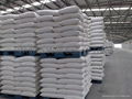 Soda Ash Dense 1