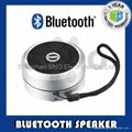 Wireless Bluetooth Speaker for iPhone Comply  1