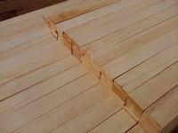 paulownia plywood