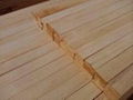 paulownia plywood