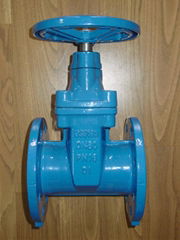 PN16 BS5163 Resilient Gate Valve