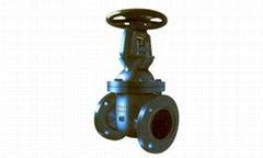 PN16 Gate Valve OS&Y Metal Seated