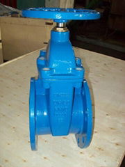 BW802-F NRS Cast Iron Gate Valve