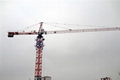 crane 1