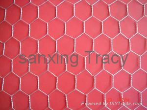 Hexagonal Wire Mesh