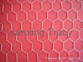 Hexagonal Wire Mesh