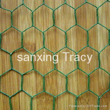 Hexagonal Wire Mesh 2