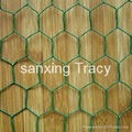 Hexagonal Wire Mesh 2