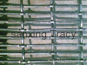 Crimped wire mesh 3