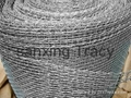 Galvanized square wire mesh 2