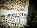 Gabion wire mesh  1