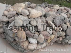 Gabion wire mesh  2