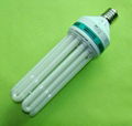 energy saving light CFL