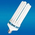 energy saving light CFL 2