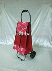 trolley bag 