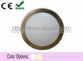    1W LED Cabinet Light---EB2011