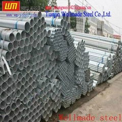 Galvanized Steel Pipe (200 Series)