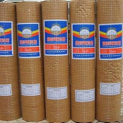 Hot-dip Galvanized Welded Wire Mesh