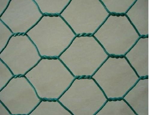 Hexagonal Wire Mesh  2