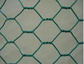 Hexagonal Wire Mesh  2