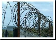 Razor Barbed Wire  3