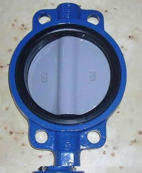 butterfly valve 4