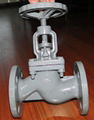 globe valve 1