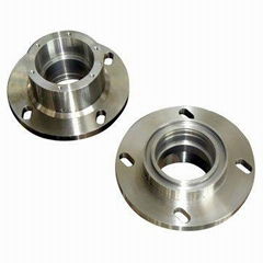 Stainless Steel Flange